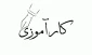 کارآموزی